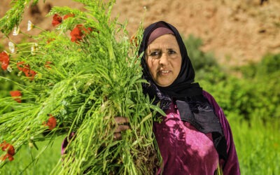 Os amazigh da África do Norte