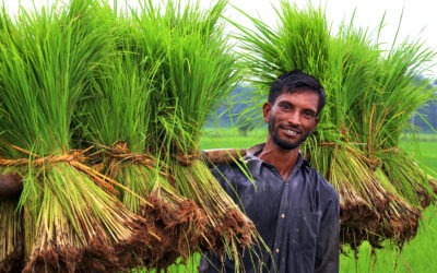 Trabalhadores muçulmanos migrantes em Singapura
